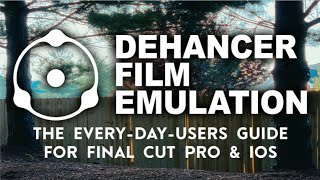 An Every-Day-User's Guide to Dehancer - The BEST Film Emulation Software EVER! screenshot 2