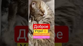 #доброеутро #воскресение #улыбнись #хорошегоднятебе #хорошегонастроения #новое