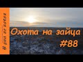 Охота на зайца. Выпуск № 88 18+