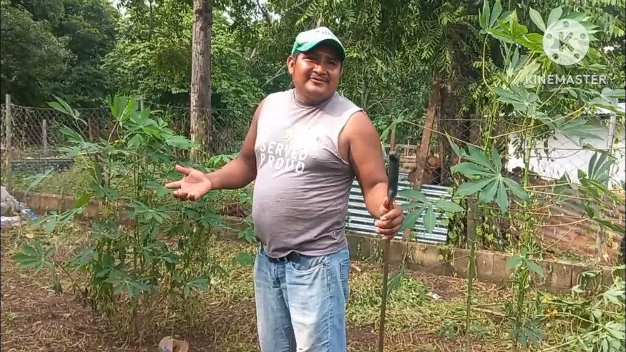 DON JUAN NOS ABLA UN POCO DE SOY CHAPÍN YouTube