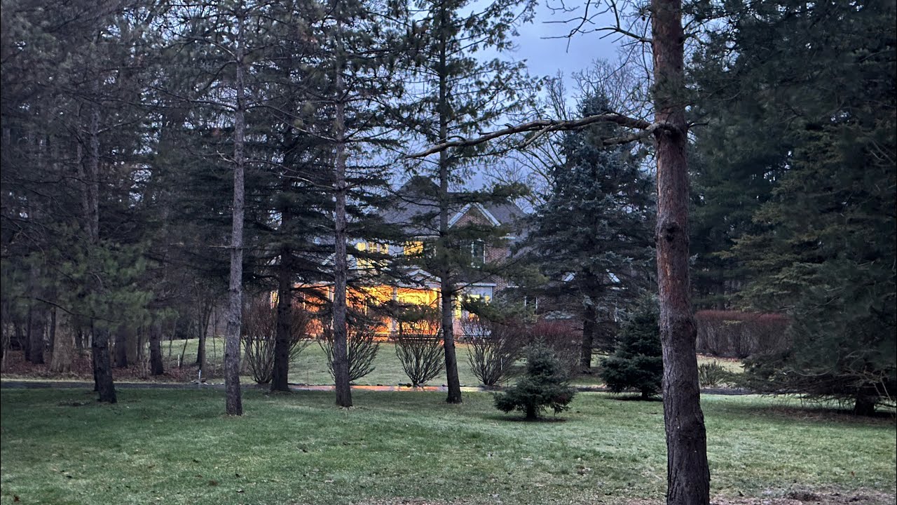 Středeční vlog#26/máma devíti dětí a náš život v Americe/nákup/uklízení/vaření☕️🧺⛄️👫🐶❄️🩵