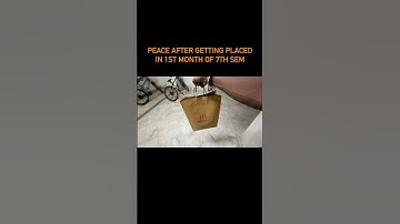 Peace! #placements #collegeplacements #collegememes #placement #collegelife #college #job #engineer