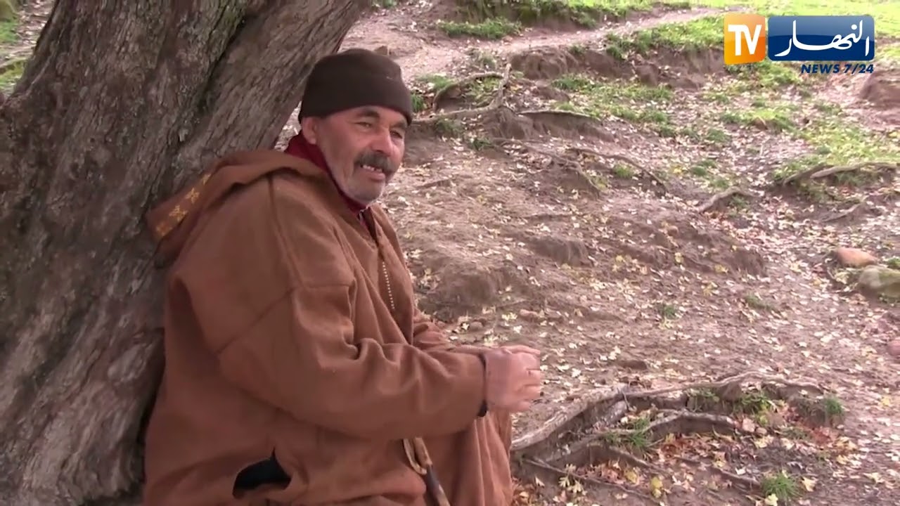 الطارف: الحاج زروق راعي غنم يتحدى قساوة الطبيعة الباردة في جبال الزيتونة