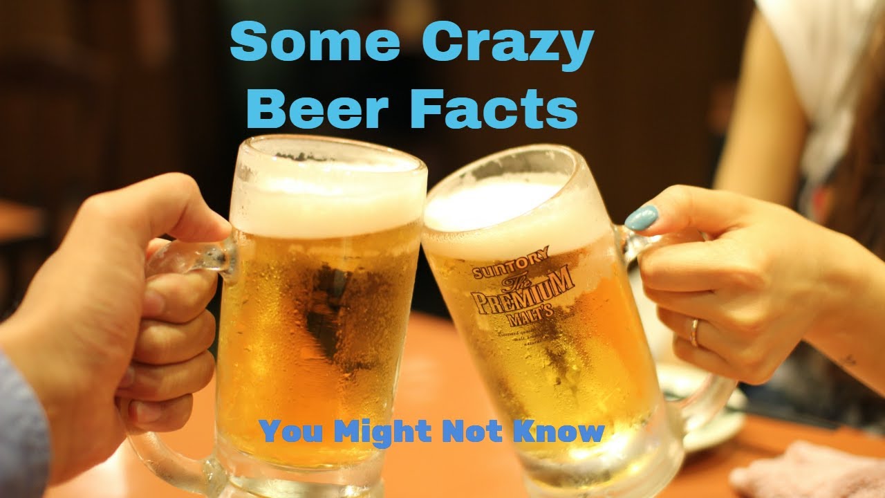 Crazy Beer Facts You Don't Know...Swimming In A Beer Pool?