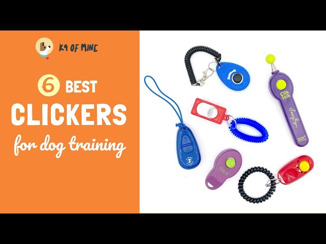 3 Best Dog Training Clickers (11+ Tested & Reviewed!) - Dog Lab