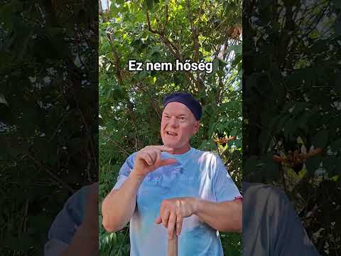 Ez nem hőség 🤣🌡 Műsorrendelés: 06 30 698 8386, szikrala@gmail.com #humor #standup #funny #home #papa