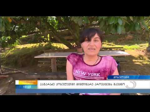 შშმ პირი არაადაპტირებულ გარემოზე