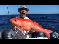 GIANT Queen Snapper (Catch and Cook) plus a suprise Mako