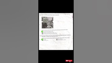 solved worksheet science olympiad #class 3