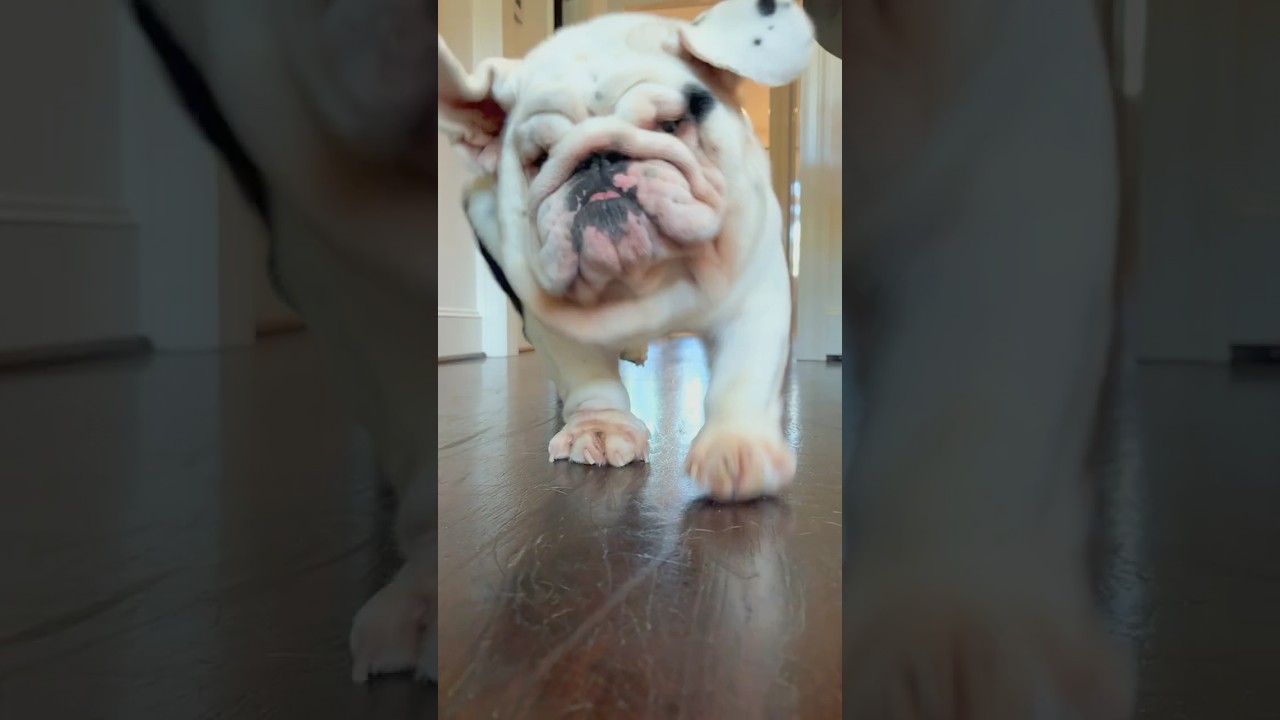 Whenever You Open the Fridge 💀 