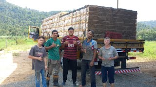 FOMOS CARREGAR 🍌 SC X RJ / ATENÇÃO COM OS FRETES E MUITO ASSUNTO.