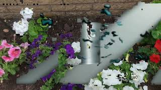 Bbc 2 Idents Clic 50 Years