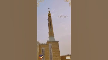 سورة المسد بصوت القارئ بندر الفيفي