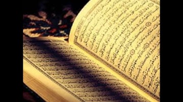القارئ يوسف السعيد - تلاوة عراقية خاشعة من سورة ال