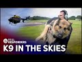 Police Dogs Train For The Sky!