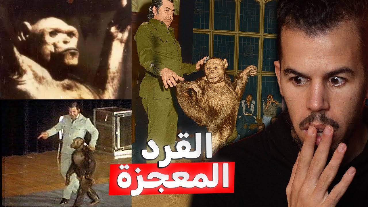 أوليفر , القرد المعجزة الذي حير العلماء 50 سنة