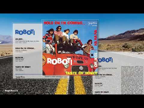 Roboti — Roboti - Hold On, I'm Coming