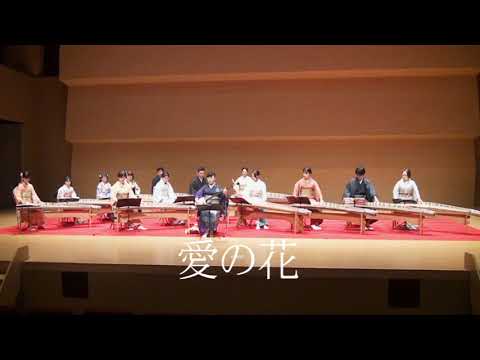 愛の花 (箏/琴/Koto /三味線/Shamisen/十七絃/jyuusitigen/ Japanese
