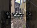 千と千尋の神隠しみたいな裏路地を発見してしまった。