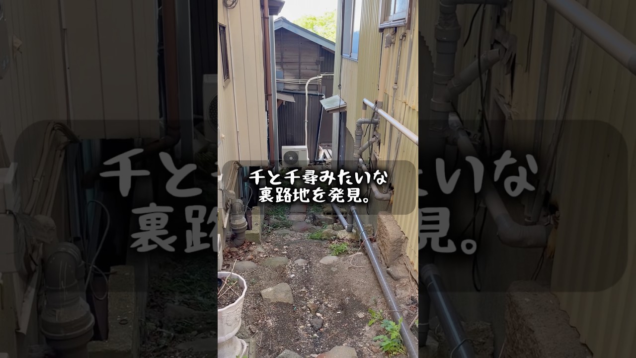 千と千尋の神隠しみたいな裏路地を発見してしまった。