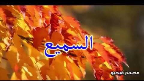 تلاوه خاشعه لما تيسر من سورة آل عمران