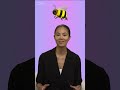 How We Talk to Bees with Dancing Robots