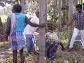 Harvester Accident