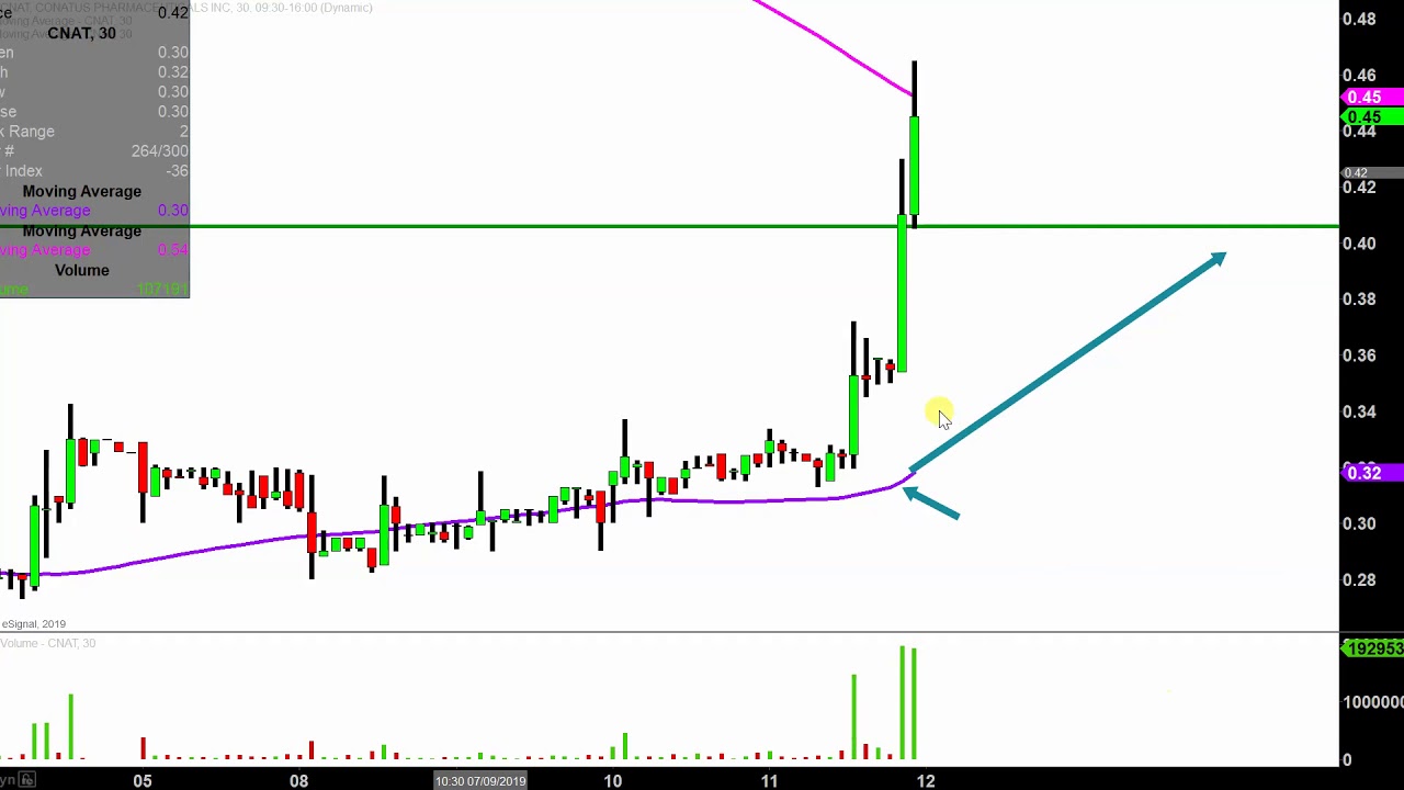 Cnat Stock Chart