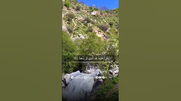 تلاوة قصيرة خاشعة بصوت الشيخ ادريس ابكر #القران_الكريم #سَكِينة #راحة_نفسية #ادريس_ابكر