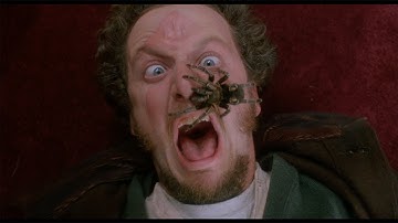 Not Every Security System Has A Tarantula