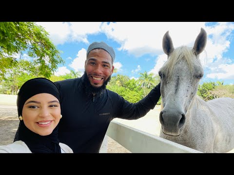 THE BABY HORSE WAS THE CUTEST