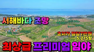 (NO.8576) 서해바다 남당항 조망되는 최상급임야 평당 7만 매매 투자용 캠핑장 야영장 5,275평 17,440㎡ 3억6천9백만원