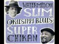 Watermelon Slim & Super Chikan - I Don't Wear No Sunglasses