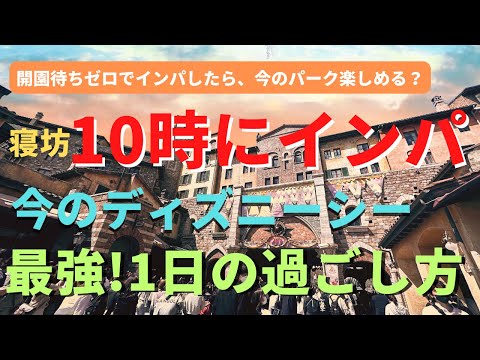 【ディズニーシー】10時にインパした日の最強の過ごし方。30代ディズニー好きがパークで体験した衝撃出来事 #ディズニーvlog