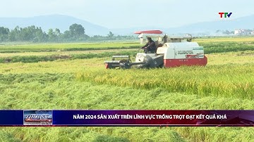 Năm 2024 sản xuất trên lĩnh vực trồng trọt đạt kết quả khá