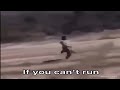 If You Can T Fly Run If You Can T Fly Run