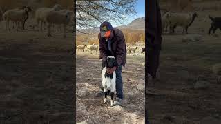 Bu Özel Bağ, Izlerken Kalbini Isıtacak Resimi