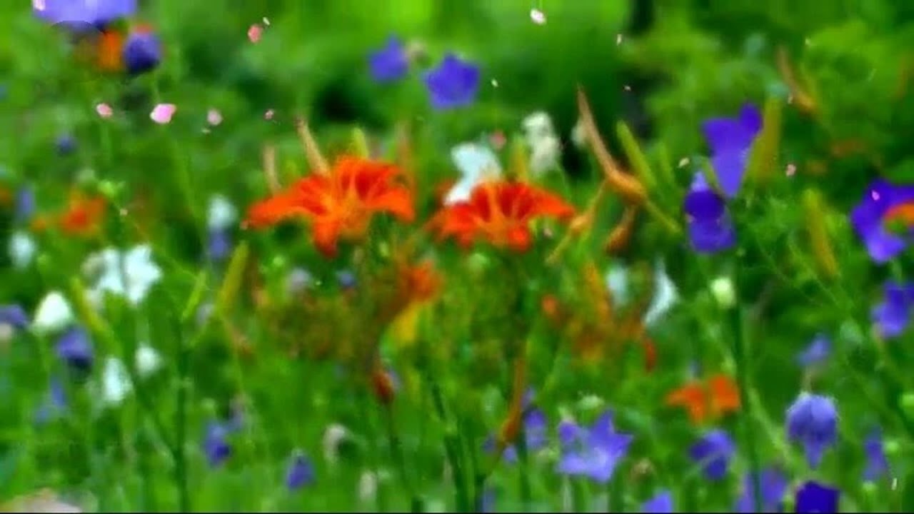 Jong Hong Ran - Beautiful Girl (예쁜이)