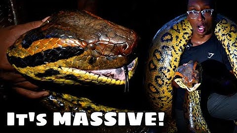 Did I Catch The 20 Footer?!?…(Yacumama: The Mother of the Water)