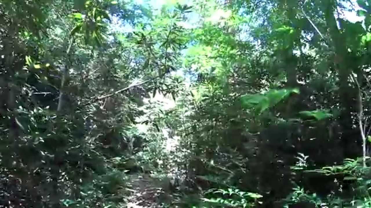 Lover's Leap - Hot Springs, NC