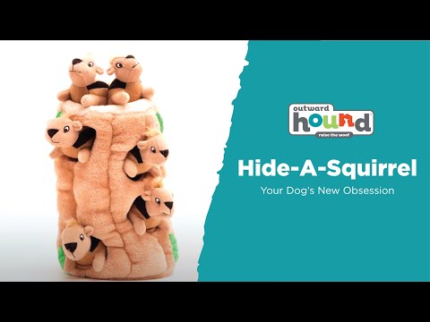 Outward Hound Hide A Squirrel - Your Dog's New Obsession