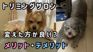 トリミングサロンを変えるメリット・デメリット／トリマーの裏側
