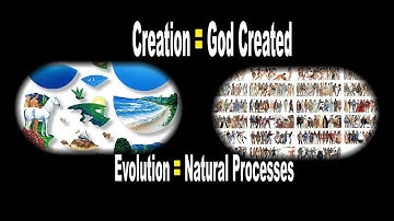 Creation evolution compared