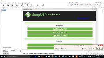 web service in loadrunner by using recording option