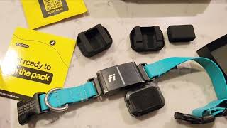 Fi Mini Collar Size Comparison