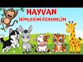 Hayvanları Tanıyalım🦁🐔🐵! Çocuklar İçin Eğlenceli ve Öğretici Video