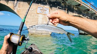 This Bait Paid Off BIG!!! 2 Days of EPIC Florida Keys Fishing Vacation