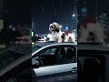 Royal Ride #pets #cars #rider #night #city #dog #doglife #cute #rain #navarasalens #shorts #viral