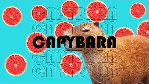 Powerpoint Presentation Capybara.