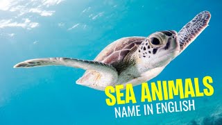 Kids Vocabulary - Sea Animals🐢 🐳 🐬 🦈 🐙 - Learn English for kids - English educational video